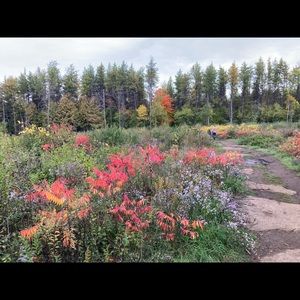 Meet your Posher, Mishka